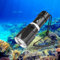 WINDFIRE Dive Light Scuba Flashlights for Diving, Single-Light-Mode Diving Flashlight, IPX8 Waterproof Underwater Flashlight, Snorkeling Light Scuba Diving Accessories for Night Diving