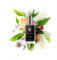 FP French Perfumes - Herren Parfüm - Elegante Eau de Parfum für Herren Männer - Hochwertiger Duft - Perfume men - Orientalisch und würzig - Nr. 266 - Coode Menn - 33 ml