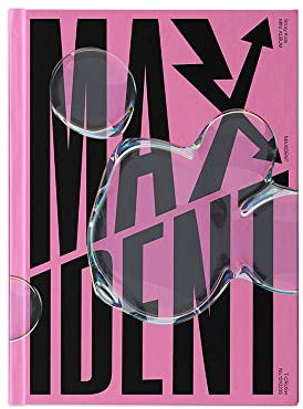 dreamus Stray Kids [Maxident] Standard-Edition Album T-Crush ver