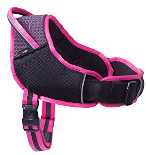 Rogz AirTech Hundegeschirr, Größe M/L, Sunset Pink
