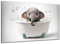 DARO Design - Toiletten-Bild auf 6mm HDF 84x56 cm Baby Elefant in der Badewanne - Wand-Deko Bilder Lustiges Geschenk