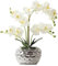 Guangcailun Apparence réaliste et Large Application Fleurs artificielles pour la décoration Artificielle orchidée Blanche Plante Fausse Fleur, Blanc