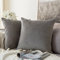 MIULEE 2er Set Samt Kissenbezug Kissenhülle Dekokissen Kissenbezüge Sofakissen Samtkissen Dekorative Couchkissen Bezug Zierkissen für Sofa Wohnzimmer Schlafzimmer 60x60 cm Grau
