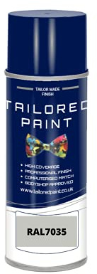 Tailored Paint 2K Direct Gloss Paint RAL Colour Code For Wood, Metal, Plastic, PVC, Car, Motorbike, Moped, Scooter, Tractor (Aerosol Paint Can, RAL7035 Light Grey)
