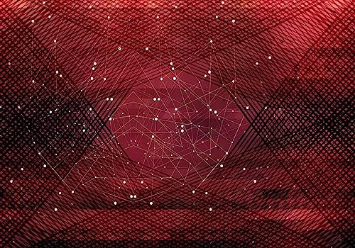 Wesmilewallpaper Photo Wallpaper 3D Wallpapers Non-Woven Wall Mutals Black and White Geometric Lines Red Background Wall Paper Mural Giant Poster 430x300cm