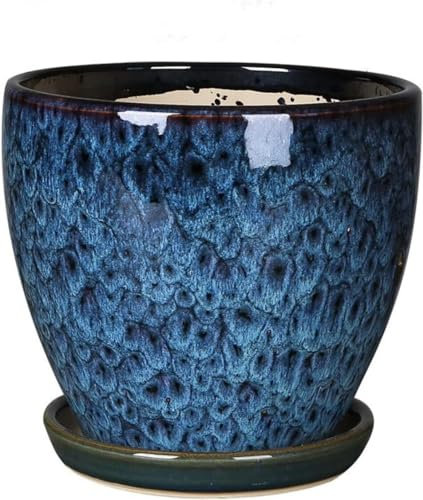 Europäischer blauer Blumentopf, Keramik, glasierter Pflanztopf, Behälter mit Keramik-Pflanztopf, saftige Zimmerpflanze, extra große Keramik-Pflanzgefäße mit Ablaufloch, Bonsai-Töpfe (Größe: M (21 cm)