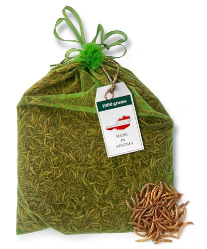 Amprosia Mehlwürmer lebend, Eiweißreiches Futter und Leckerbissen für Reptilien, Amphibien, insektenfressende Haustiere und Vogelfutter, Würmer Snack für Haustiere 1kg, Lebende