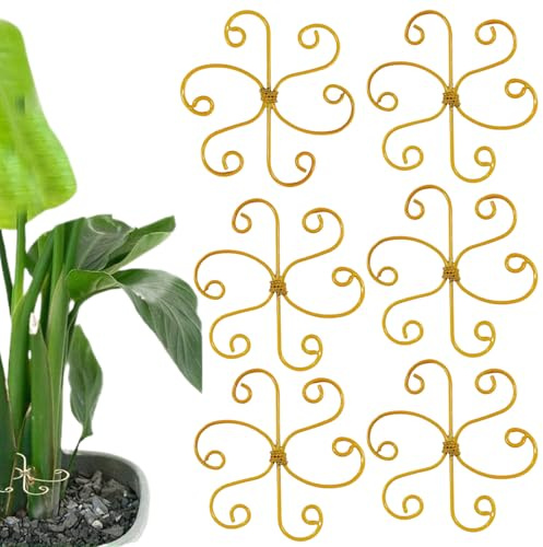 Zuasdvnk STEM -Unterstützung, Pflanzenstammunterstützung, Wiederverwendbare Monstera -Stammunterstützung, Metallstabilisator für Innengarten im Freien Garten Monstera Bonsai Care, Set von 6