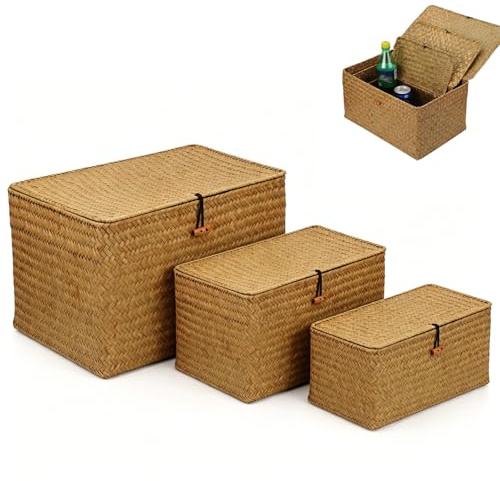 Cesto Portaoggetti in Rattan Intrecciato, Set di 3 Cestini Portaoggetti in Vimini con Coperchio, Cesta in Vimini di Seagrass, per Scaffali, Scrivania, Organizer per la CasaS(S, M, L, Arancione)
