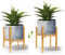 Qumeney Support de plante d'intérieur moderne en bois inspiré du style du milieu du siècle - pour maison, bureau, jardin, terrasse, pelouse, cour, restaurant, café