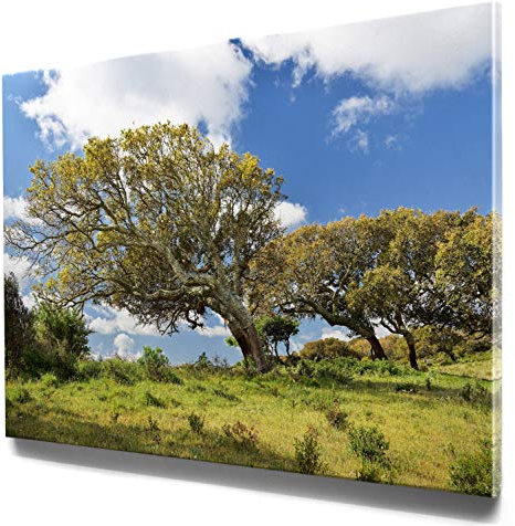 Traumhaftes Leinwandbild Insel Sardinien, Korkeichenbaum - als 90x60cm großes Wandbild. Perfekt als Hintergrund und Deko für Wohnzimmer & Schlafzimmer. Aufgespannt auf 2cm Holzrahmen