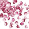 PATIKIL Perles de Verre de Fleurs de Trompette, 100 Pcs Breloque en Forme de Fleur Dégradée pour la Fabrication de Bijoux, de Bracelets, de Boucles d'Oreilles, de Colliers, Rose Rouge