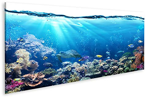islandburner Bild auf Leinwand Unterwasser Szene Riff Und Tropischen Fischen Aquarium Bilder Wandbilder Poster
