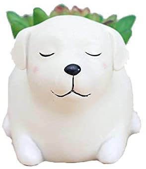 Labrador Hund Sukkulenten Übertopf Töpfe für Büro Haus Balkon Landschaft Kreative Dekorative Blumentöpfe