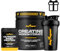 BigMan | Pack Creatina Monohidrato 300Gr (FRUTOS ROJOS) + Shaker PRO + MUESTRAS | 200 Mesh | Incrementa Resistencia | Potencia los Efectos de los Entrenamientos | Crecimiento Muscular