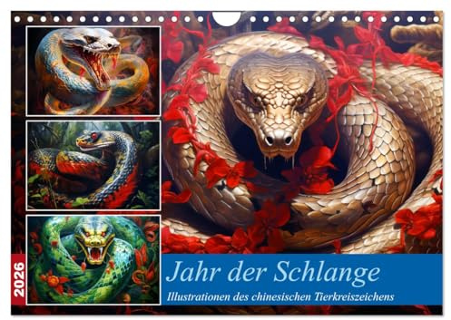 Jahr der Schlange - Illustrationen des chinesischen Tierkreiszeichens (Wandkalender 2026 DIN A4 quer), CALVENDO Monatskalender: Farbenfrohe ... chinesische Tierkreiszeichen (CALVENDO Tiere)