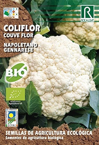 Semillas ECOLOGICAS Coliflor Napolet