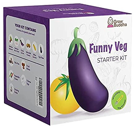 Eigenes Saatgutset züchten - Einfach eigene Pflanzen züchten mit unseren einsteigerfreundlichen Anzuchtsets - Samen-Set - Geschenkset, einzigartige Geschenkidee (5 Gemüse-Set)