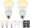 LGMCF Lampadina ricaricabile con magnetica e ricarica di tipo C 2in1, E27 a batteria con telecomando lampadina dimmerabile da 700LM con base magnetica staccabile per lampade non cablate, 2 unità
