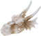 Psdndeww Künstliche Dinosaurier-Totenkopf-Aquarien, Dekoration, sinkbare Landschaften, Wasser-Haustier-Höhle, Garnelen-Unterschlupf