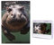 1000-teiliges Puzzle für Erwachsene, herausforderndes Holz-Puzzle, Tauch-Nilpferd, Fotopuzzle, individuelles personalisiertes Bilderpuzzle für Erwachsene und Kinder, Familienspielabende, 50 x 49,5 cm