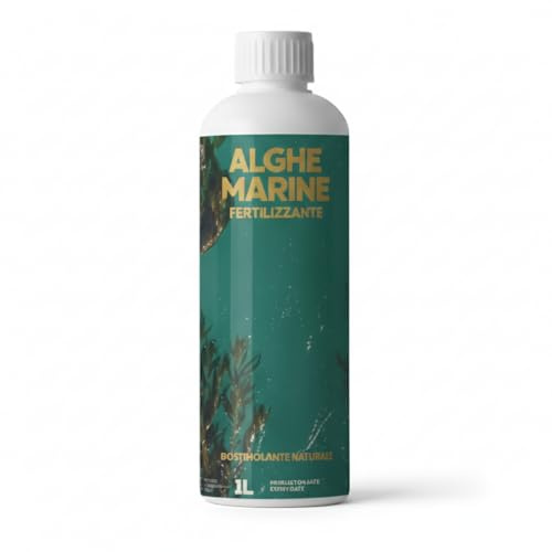 Concime Liquido alle Alghe Marine Ascophyllum Nodosum 30% – Fertilizzante Organico Universale per Piante, Orto e Giardino – Biostimolante Naturale Concentrato (1 litro)