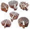 Töpferei Holzdruck Asiatisch Baum Gestalten Stempel Blöcke (Set von 6)