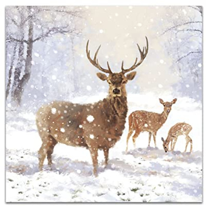 Pack of 8 Majestic Snowy Stag In Aid Of Mind Charity Christmas Cards Xmas Cards 557014