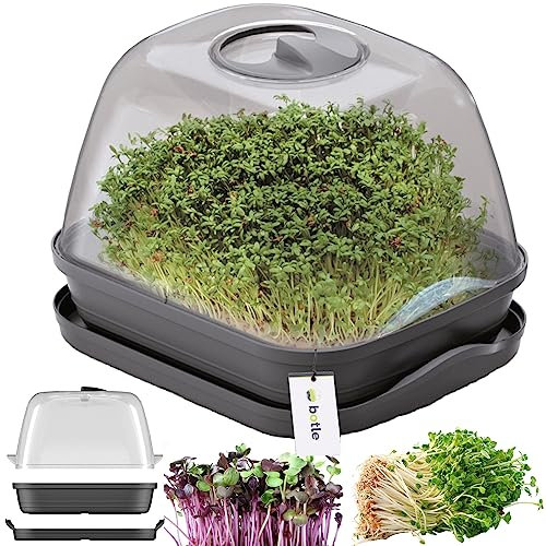 Mini Gewächshaus Anzuchttopf Planter Anthrazit Anthrazit 25,7x18,5cm Pflanzkasten Blumenkasten mit Deckel Hochbeet Blumentopf wachsendes Gemüse Gardering Sämling frisches Urban Garden Garten im Haus