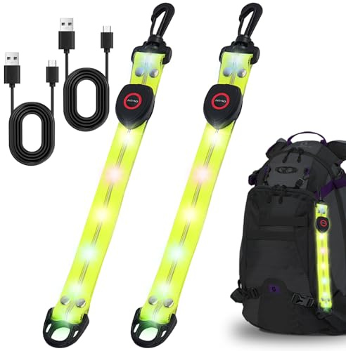 BORDEAG 2 Stück LED Blinklicht Reflektor Anhänge, USB Aufladbar, 5-Farbenlicht Design, Sicherheitslicht für Schulranzen, Wandern, Joggen,