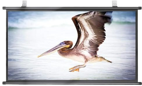 YUQIWKK Pantalla De Proyección Enrollable Manual, 30/40/50/60/72 Pulgadas HD 4K, Formatos 4:3, 16:9 De Techo y Pared, HD Extraíble, Cine en Casa, Escuela, Oficina, Color Blanco Mate(16:9,60)