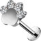 CM Crareesi Mania G23 Titan Helix Ohrstecker 16G Tragus Lippe Ohrstecker Knorpel Conch Ohrringe Flache Rückseite Hund Pfote Print Knorpel Piercings Stud Innengewinde Forward Helix Ohrringe für Frauen