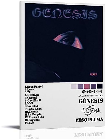 V BY N Peso Pluma Album Cover Limited Poster Vintage Art Cover Room Decor Aesthetic Bedroom Decor Canvas Poster For Bedroom 24x36inch(60x90cm) Frame-style