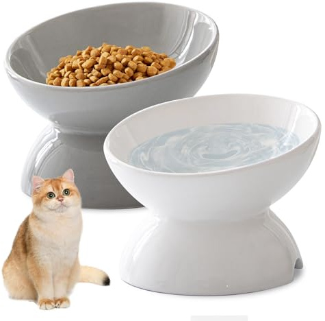 400g Gamelle Chat, 2 Pièces Inclinable à 15 Degrés Gamelle Chat Surélevée, Gamelle Chat Ceramique, Gamelle pour Chat, Bol Chat évite Les Blessures, Idéale pour Chats, Chiots et Petits Chiens