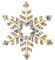 EVER FAITH Österreichische Kristall Elegante Winter Schneeflocke Stern Brosche Pin Gold-Ton