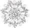 EVER FAITH Österreichische Kristall Simulierte Perle Hochzeit Elegante Blumen Brosche Klar Silber-Ton