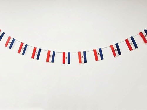 Bandera de Paraguay - 40 Unidades, Guirnalda 11.4M, Banderines Nacionales 14 x 21 cm