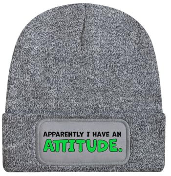 Apparently I Have an Attitude Heather Grey Beanie, grau, Einheitsgröße