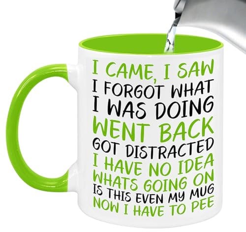 Vellivar Funny Mugs, I Came I Saw I Forgot Mug, Quirky Gifts for Women Leaving Gifts for Men Novelty Mug Retirement Gift Birthday Christmas Funny Gift Mug Coffee Cup Ceramic Tea Mug 350ml Green