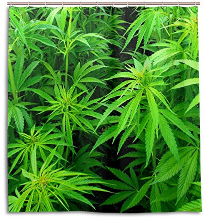 alaza Marihuana-Hanf-Blätter Duschvorhang 66 x 72 Inch, schimmelresistent und wasserdicht Polyester Dekoration Badezimmer-Vorhang