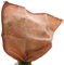 AFP Jutesack Pflanzen, terrakotta, 60 x 80cm, 230g/qm Feste Qualität - Naturmaterial Winterschutz Rosen/Frostschutz Blumenkübel/Gartendeko / 2 Jutesäckchen gratis