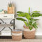 Greenleaves Natural Seagrass Indoor Planter Storage Basket Flower Pot with waterproof liner (Medium)