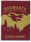 Half Moon Bay - Harry Potter Magnet - Flying Lessons - Fridge Magnet - Harry Potter Accessories