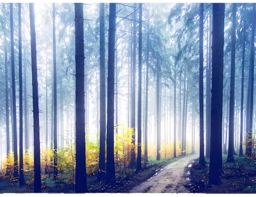 Papier peint mural avec oiseaux volants dans la forêt brumeuse – Autocollant mural à décoller et coller – Taille personnalisée pour décoration de salon/cuisine/salle à manger – Art réaliste