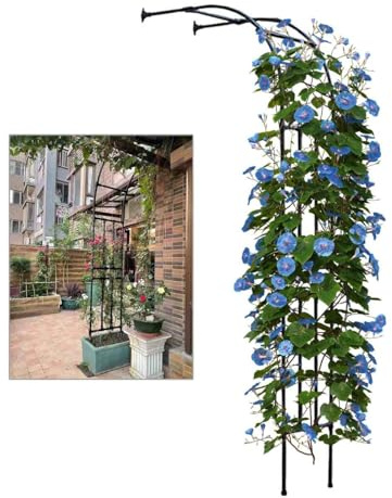 Support de treillis en métal pour rosiers grimpants - Fixation murale pour intérieur/extérieur - Largeur réglable 60240 cm (60 x 240 x 40 cm) - Support élégant pour plantes