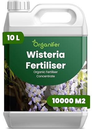 Engrais Liquide Pour Glycine - 10L - 2-1-8 NPK | Engrais Pour Floraison Luxuriante Et Croissance Vigoureuse - Stimule Racines Et Résistance - Organifer