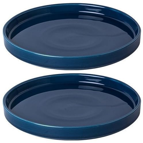 Wilafury Platillo de cerámica para Plantas de 7 Pulgadas, 2 bandejas Redondas para Plantas de Interior/Exterior, platillos para macetas para Contener Gotas de Agua y Tierra, Azul