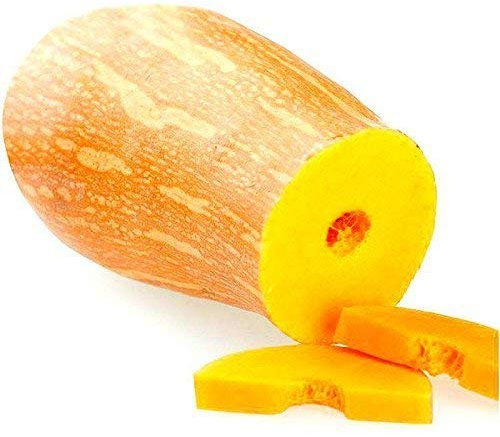 SwansGreen Light Green : Garden Seeds 10 Graines Big Pumpkin Seeds Vegetable And Fruit Plnats Tasty Honey Squash Melon Sementes Climbing Bonsai Pots Farm
