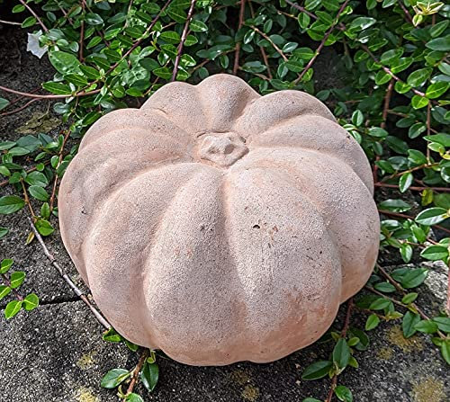 B-Ware ! Kürbis ø 22 cm hoch aus Terracotta Terrakotta Deko Herbst Erntedankfest Garten Obst Figur Landhaus Halloween