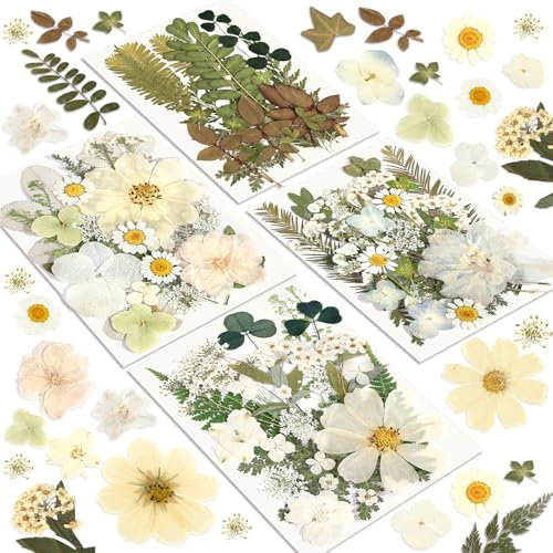 Resiners 100 Stück Weiß Getrocknete Blumen Natürliche Gepresste Getrocknete Blumen Blätter für Harz Schmuck Machen, DIY Kerzen, Anhänger, Handyhüllen, Fotorahmen, Bath Bombs, Scrapbook